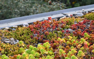 the cost of Under The Wood green roof installation