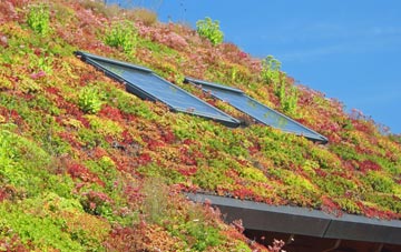 Under The Wood living roof systems