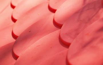 Under The Wood plastic roof costs