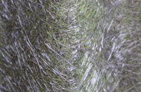 Under The Wood fibreglass roof work